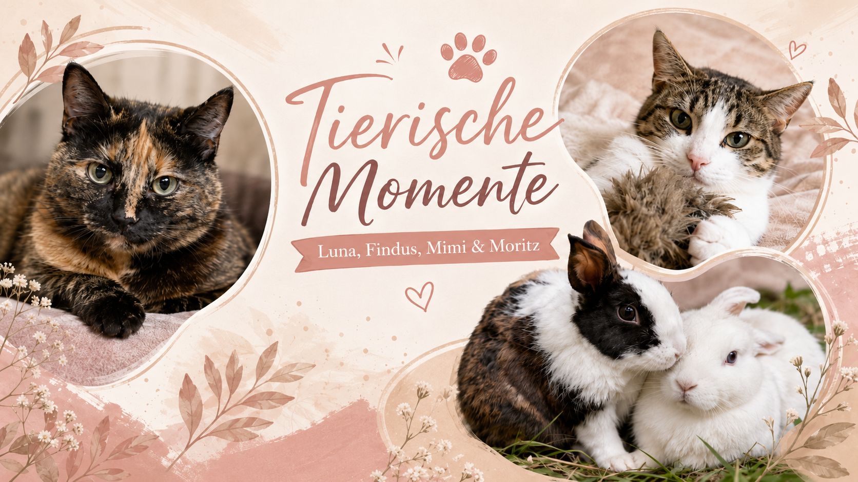 Collage mit zwei Katzen und zwei Kaninchen unter der Überschrift „Tierische Momente“.